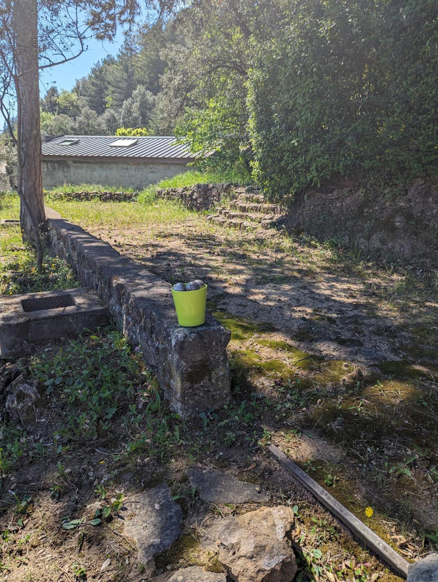 Auberge Des Pins Aubenas Exterior foto